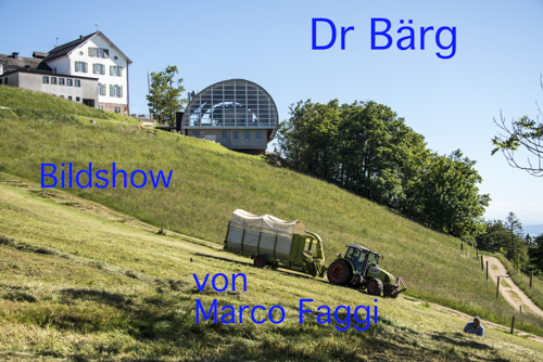 Dr Bärg
